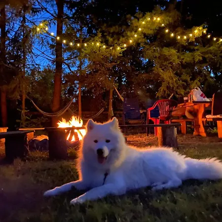 Dom Z Charyzma Na Mazurach Miłki